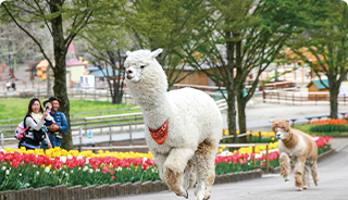 入園無料! 大人 1,600円 ⇒ 0円 子供 800円 ⇒ 0円 幼児 800円 ⇒ 0円