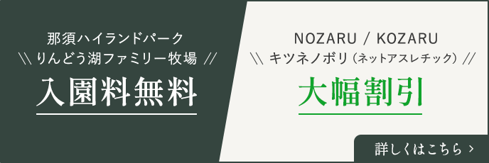 那須ハイランドパーク りんどう湖ファミリー牧場 入園料無料！ NOZARU/KOZARU キツネノボリ（ネットアスレチック） 大幅割引！ 詳しくはこちら