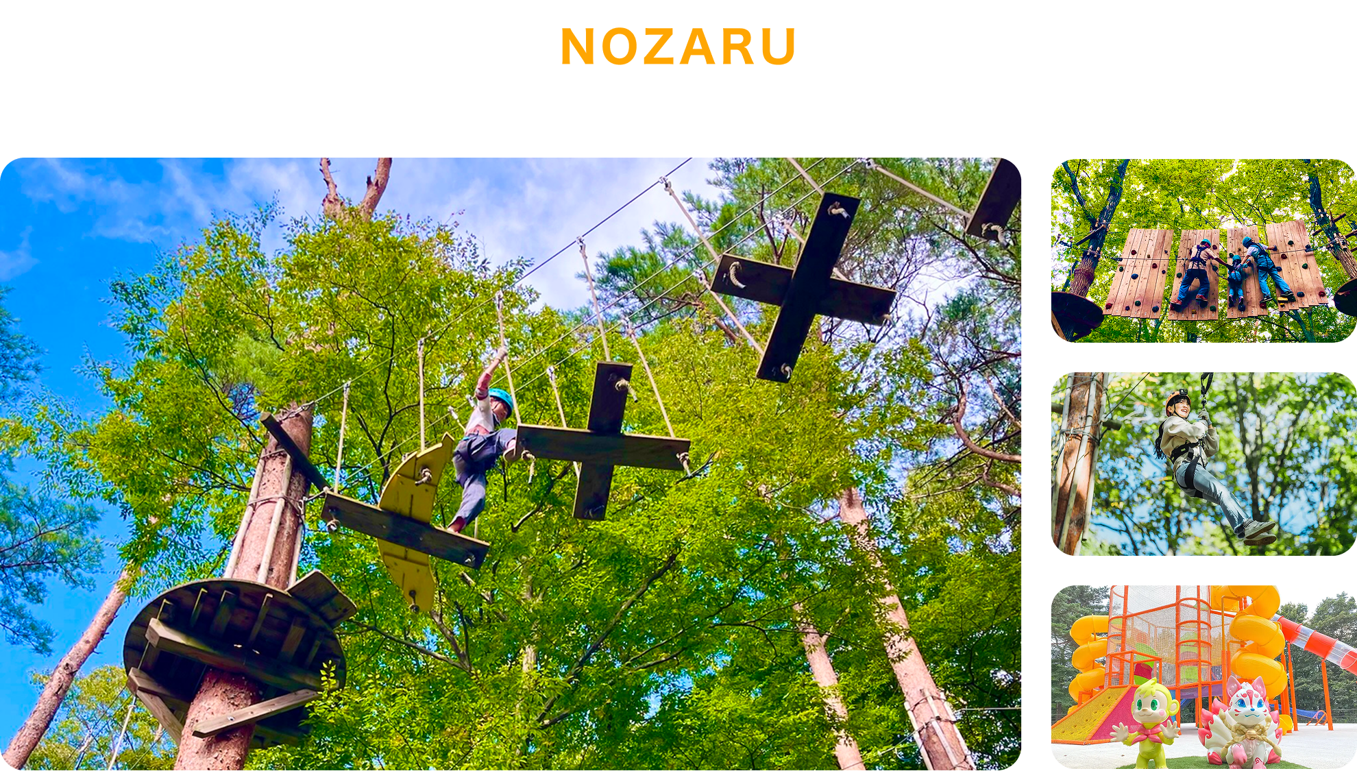 NOZARU
