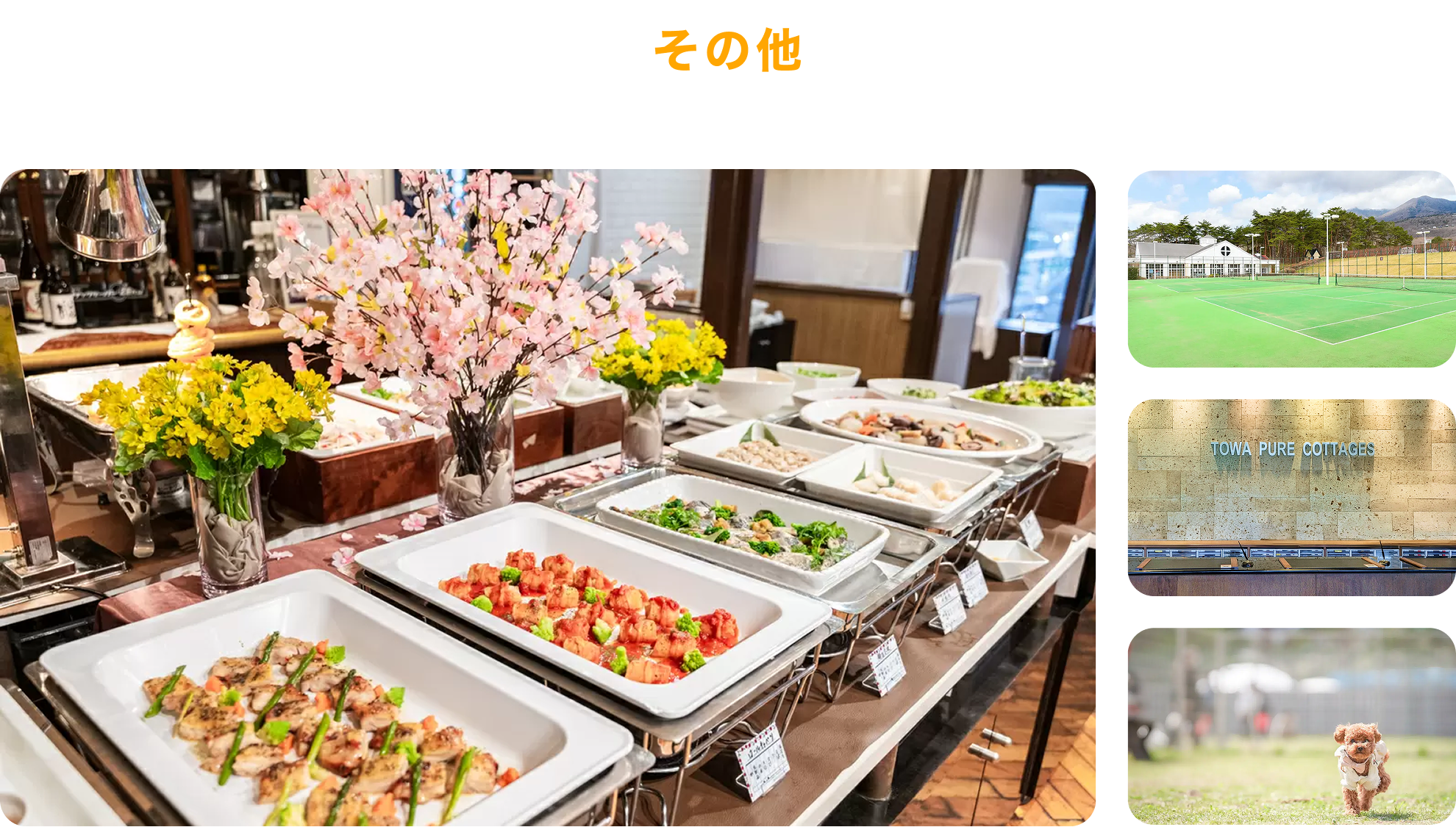 その他