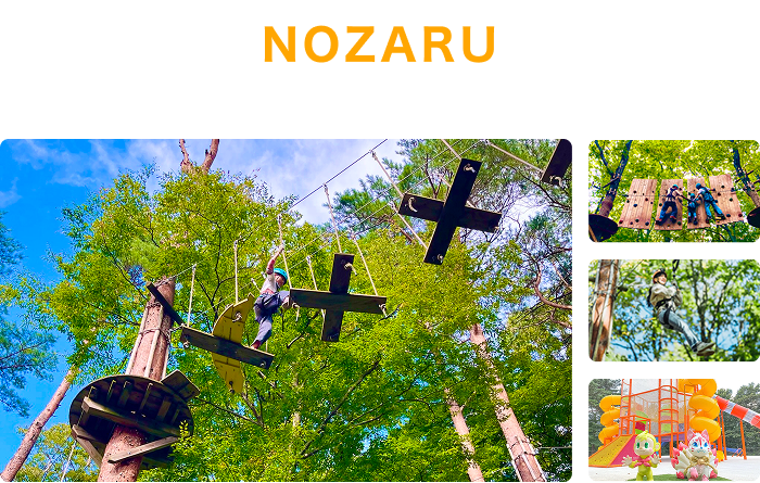 NOZARU