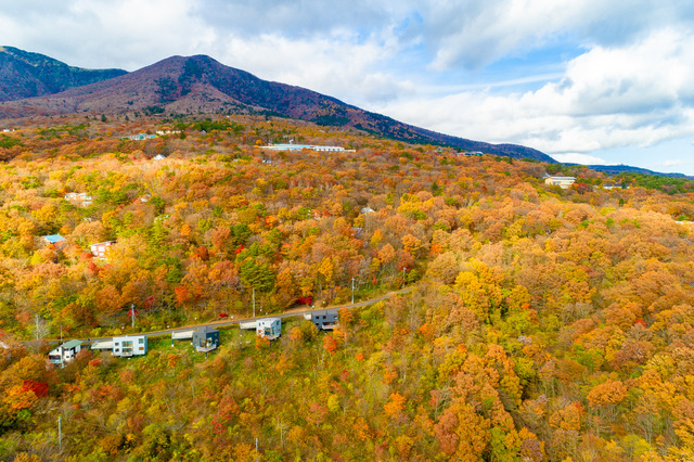 【紅葉シーズン到来】彩り豊かな絶景をおとどけ