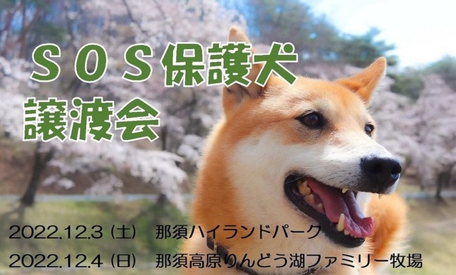 【那須ハイ／りんどう湖ファミリー牧場】SOS活動保護犬譲渡会開催のお知らせ