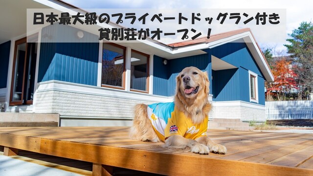 日本最大級のプライベートドッグラン付き貸別荘がオープンしました