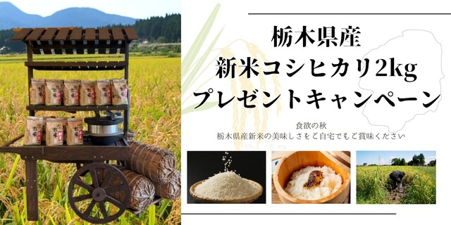 先着1,000組限定！ 平日ご宿泊のお客様へ栃木県産の新米2㎏をプレゼント！