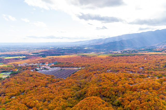 【紅葉シーズン到来】彩り豊かな絶景をおとどけ