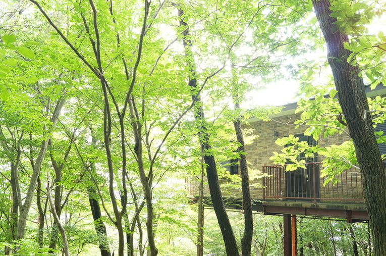 眺望が魅力の貸別荘にステイ♪リゾートハウス（千景台34）｜那須ハイ乗り放題付｜1泊2食付