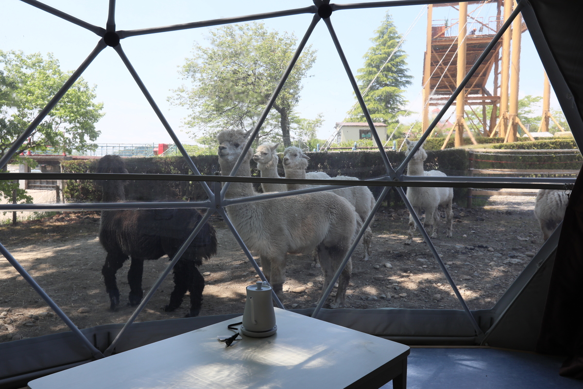 【りんどう湖】アルパカコンセプトルーム｜2施設乗り放題付2食付連泊プラン