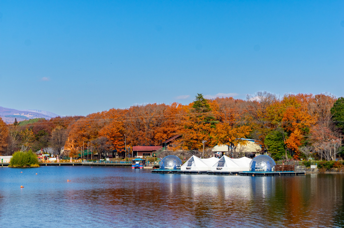 【りんどう湖】湖上グランピング（白テント）