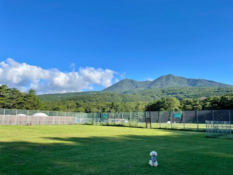 【ペットと泊まれる】那須ハイランドパーク入園無料♪コテージ（スーペリア）