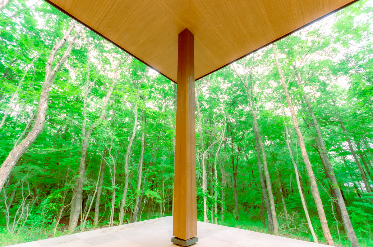 築浅4LDKで森と調和する暮らし-Forest Villa-