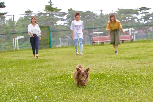 ペットと一緒に自然豊かな那須高原を満喫！